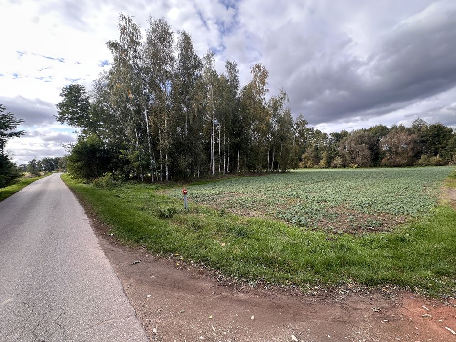 Działka budowlana 3044 m², Jakubowice gm. Byczyna, woj. Opolskie - Widok 3