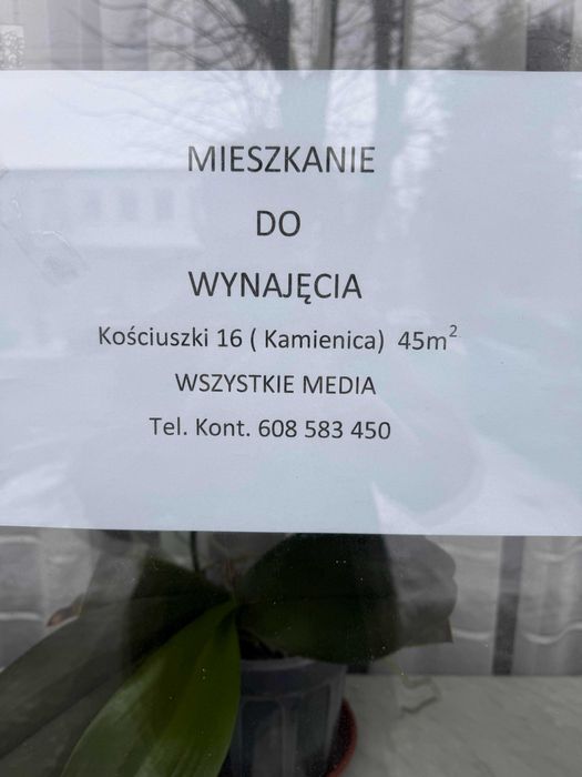 Mieszkanie do wynajęcia ZELÓW 45m2