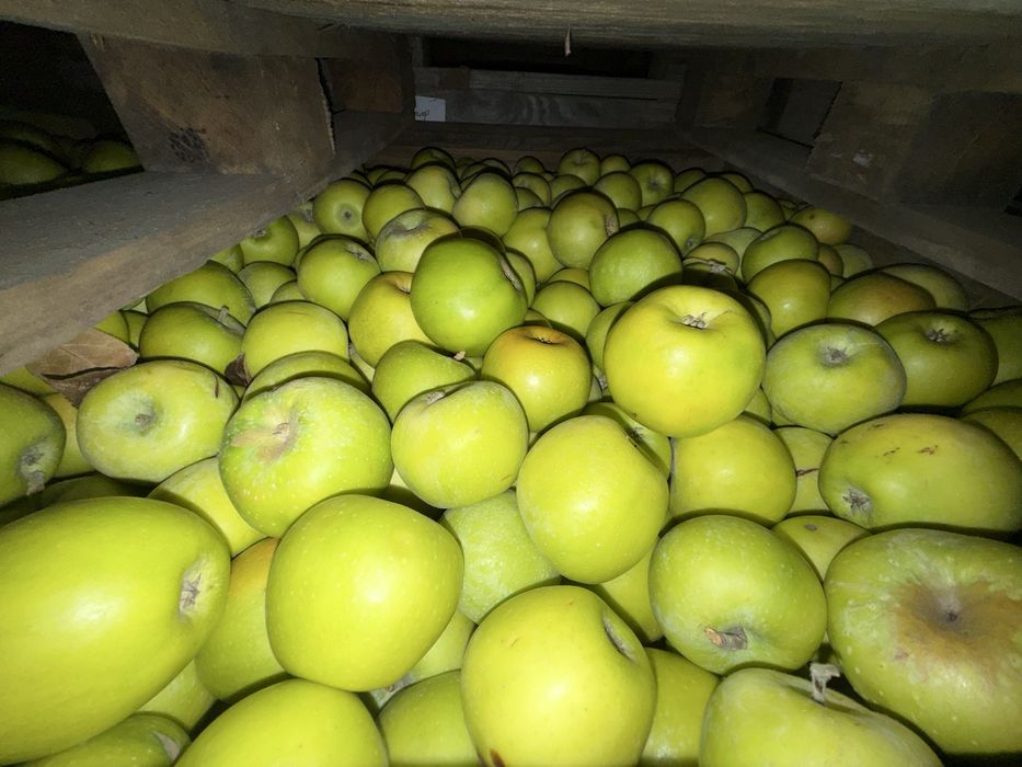 Яблука різних сортів