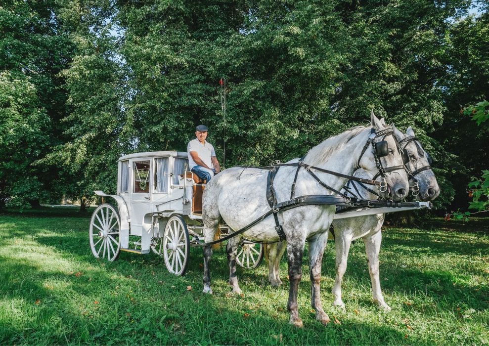 Spzedam bryczkę karoce