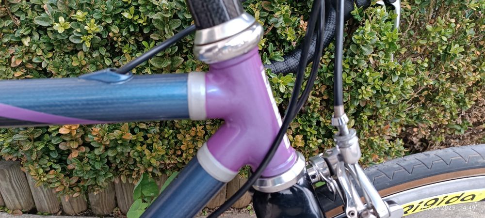 Bicicleta antiga Francesco Moser de carbono