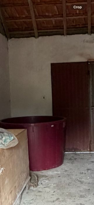 Dorna vindima 1000L