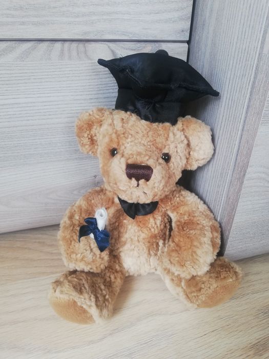Zabawka pluszowa miś student