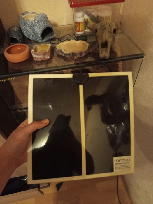 Terrarium dla gekon lamparciego