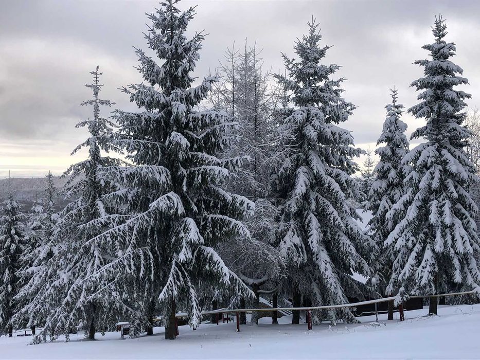 Готель “Карпатські Полонини” | 4 дні / 3 ночі на двох від 5900 грн