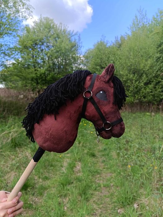 Hobby horse Santiago de Compostela