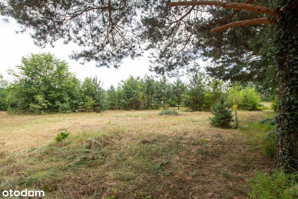 Działka budowlana Myślina 911 m² - View 6