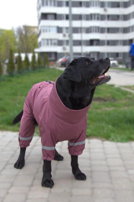 Дощовик для великих собак одяг костюм комбінезон
