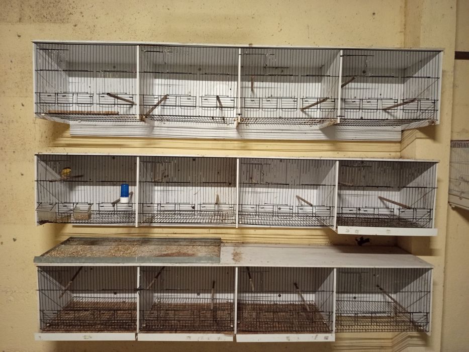 Conjunto de viveiros