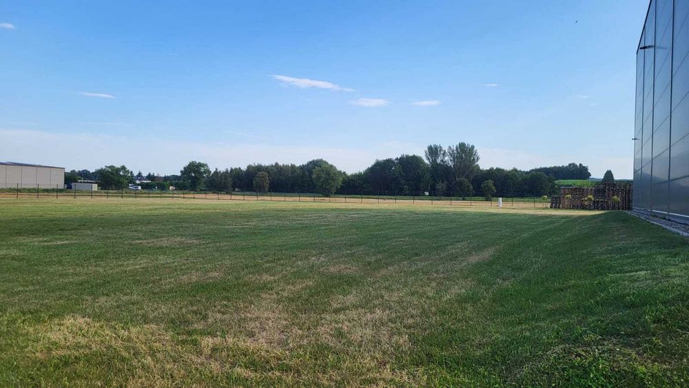 PLAC 4000 m² DO WYNAJĘCIA – Wola Dębińska – DK94 – blisko A4 - Widok 5