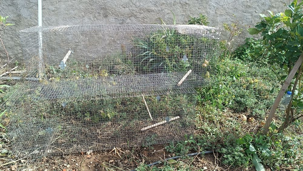 Vendo gaiolas para pássaros