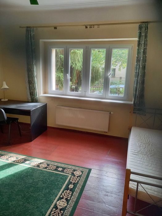 Jeden (dwa) duży jasny pokój  dla młodej   kobiety/studentki.