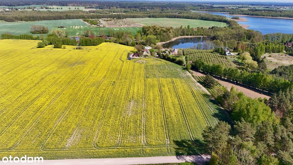DZIAŁKA Budowlana Nad Jeziorem Stelchno - Widok 4