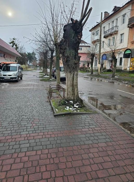 Здам приміщення в оренду у м.Соснівка