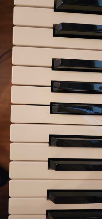 Korg Krome + Monitor Audio BX8 rigorosamente como novo