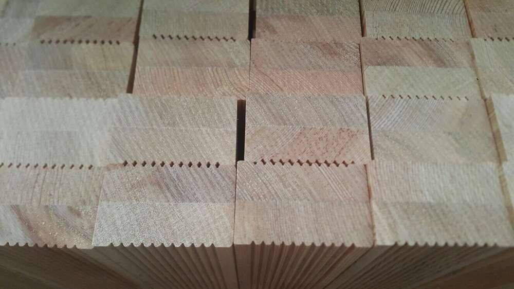 Legar Modrzew Syberyjski