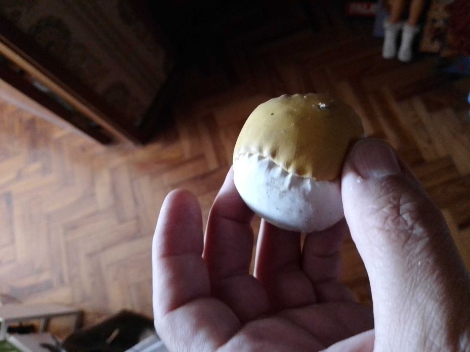 Quer aquecer água?Jarro eléctrico p/aquecer Skibo-10E- Copos-4EDesde2E