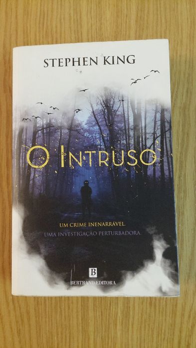 Livro O Intruso - Stephen King (Como Novo / Bertrand)