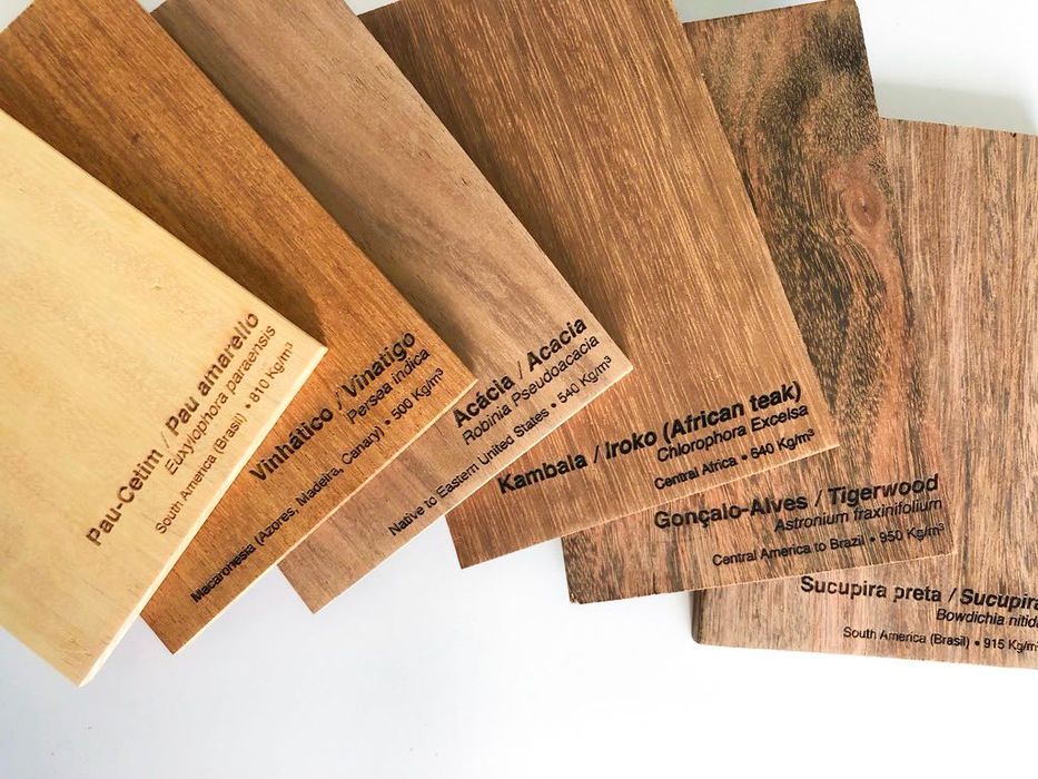 Amostras de madeira / Xiloteca