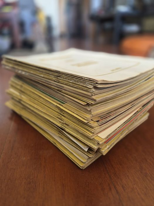 Fascículos "Arte nos Séculos "