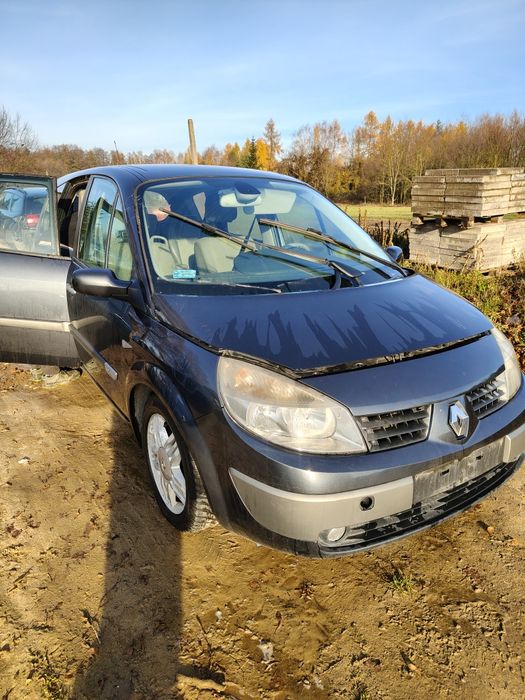 Części Renault scenic 2 z 2005 TEB 66 lakier