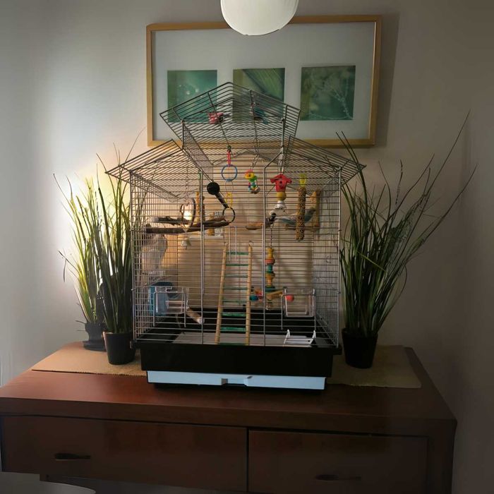 KLATKA dla ptaków z wyposażeniem i wysuwaną SZUFLADĄ różne kolory NOWA