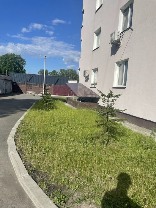 Профессиональный покос травы тримером и газонокосаркой