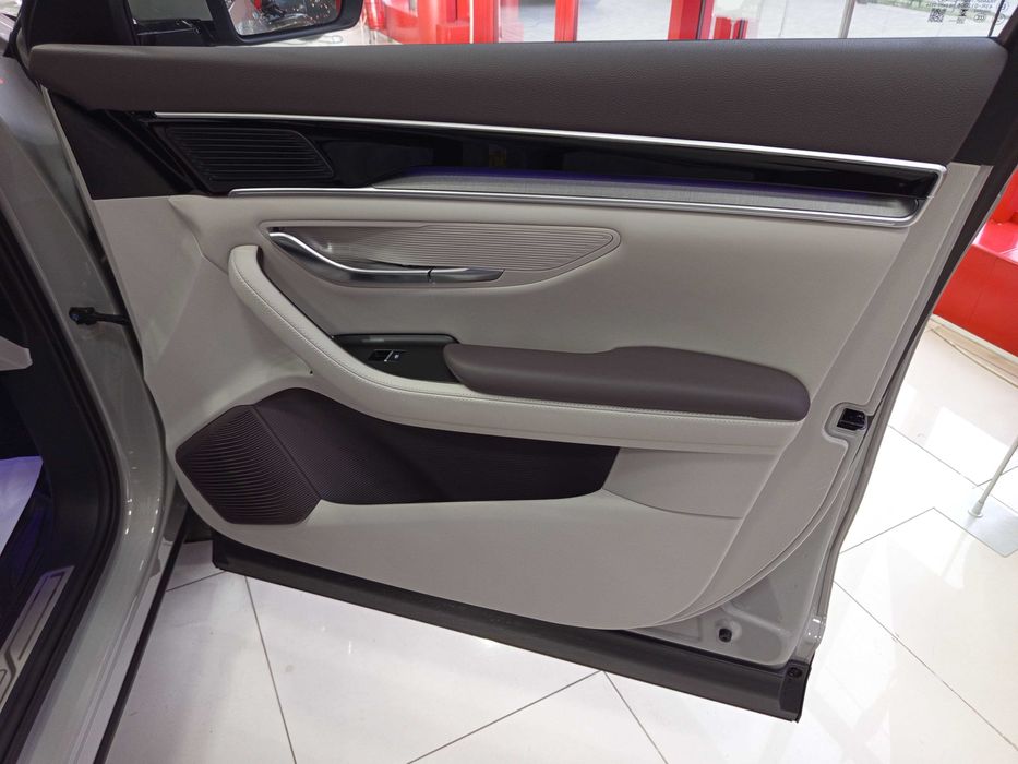 BYD Song Plus EV 2025