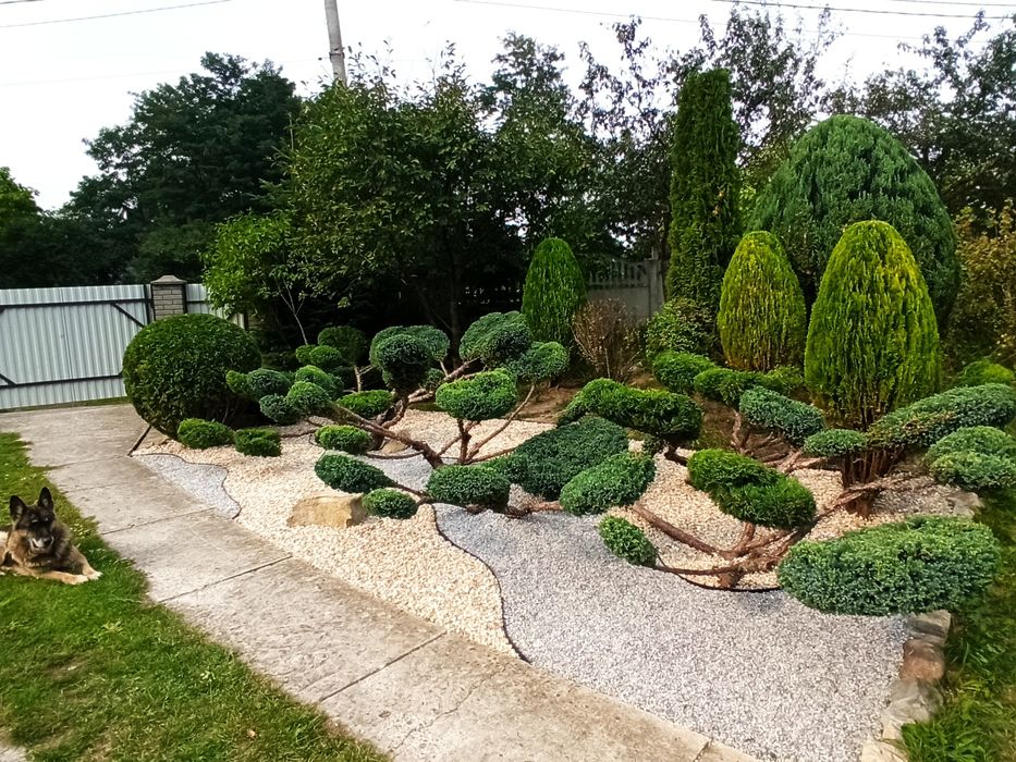 Аерація#скарифікація#ПокісТрави#ОбрізкаДерев#Аерація#ВесняніРоботигазо