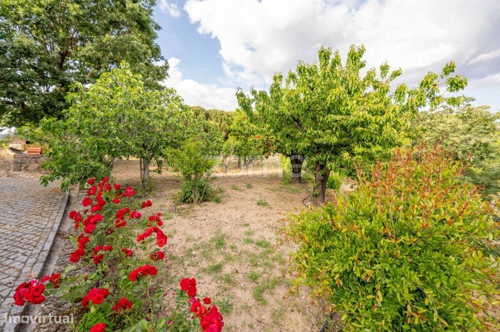 Quinta de São Pedro — Um Refúgio Privado de 7 Hectares