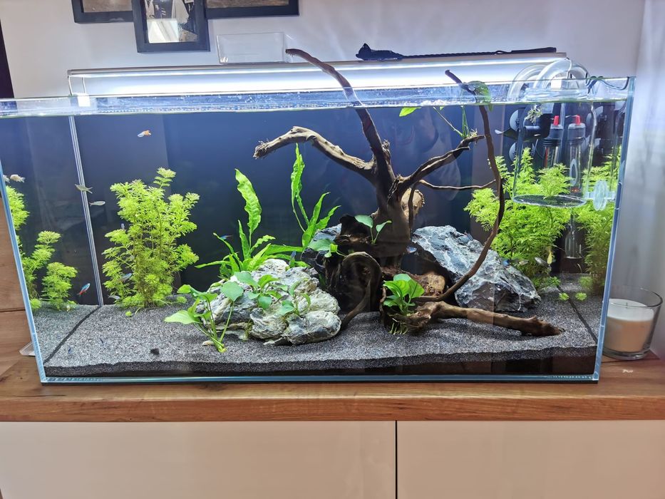 Scenery stone Kryjówka glonojada Naturalna skała akwarium Dekoracja