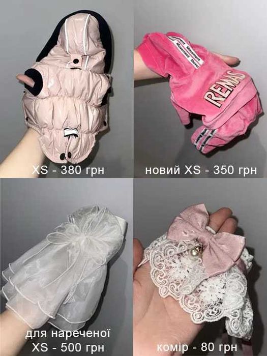 Одяг взуття сухий корм догляд та інше для собак цуциків та кошенят