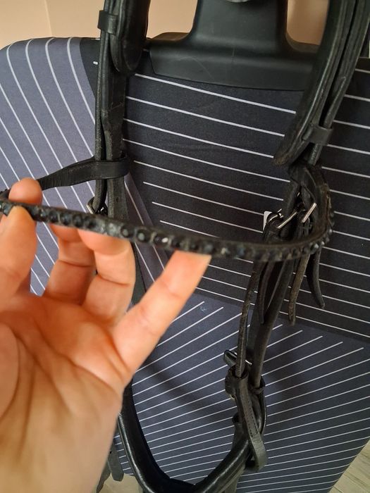 Skórzane ogłowie r. Cob