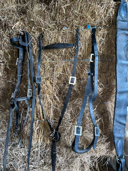 Sela/ arreio a portuguesa completa com cabeçada e xairel