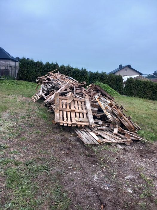 Drzewo opałowe-palety