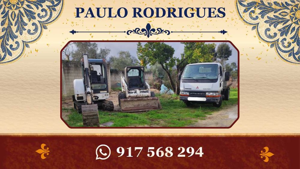 Mini-excavator/rotary excavator and construction services