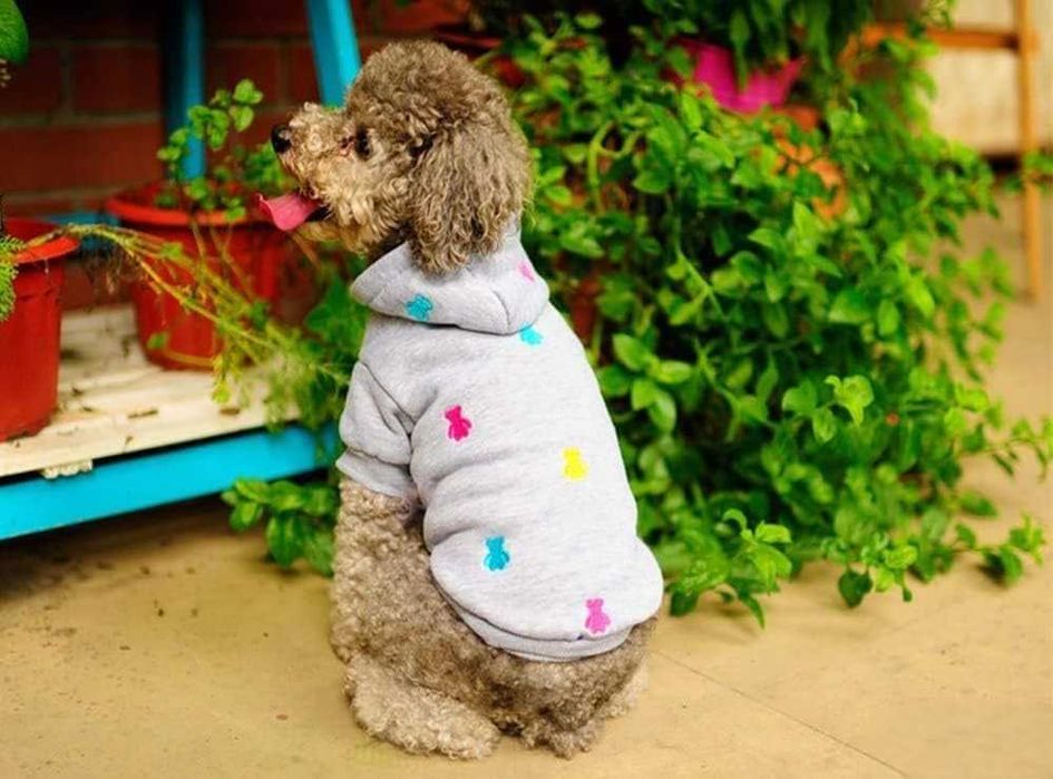 LeerKing Sweter Fleece z Kapturem dla Psów i Kotów, XL