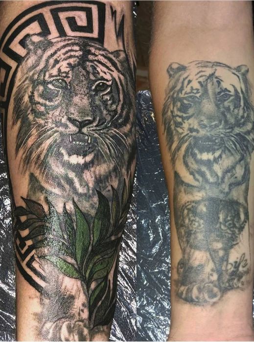 Перекрытие шрамов. Татуировка Днепр