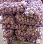 Продам картоплю насіннєву та столову