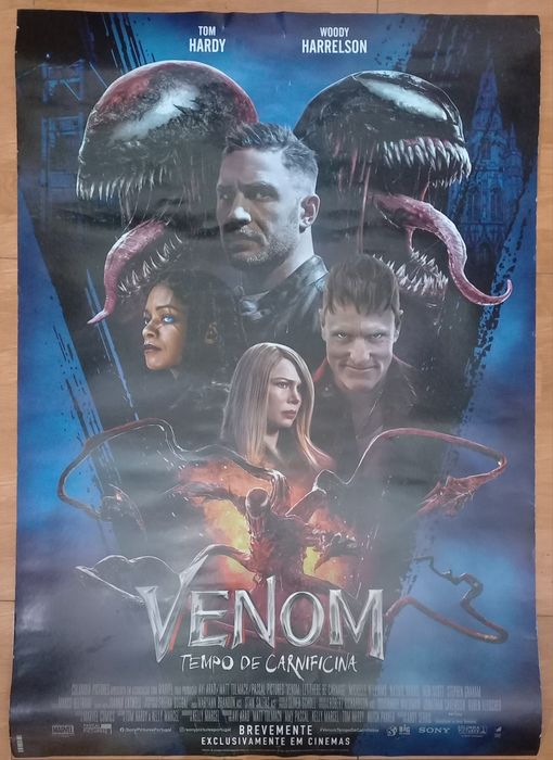 Cartazes / Posters  de Cinema