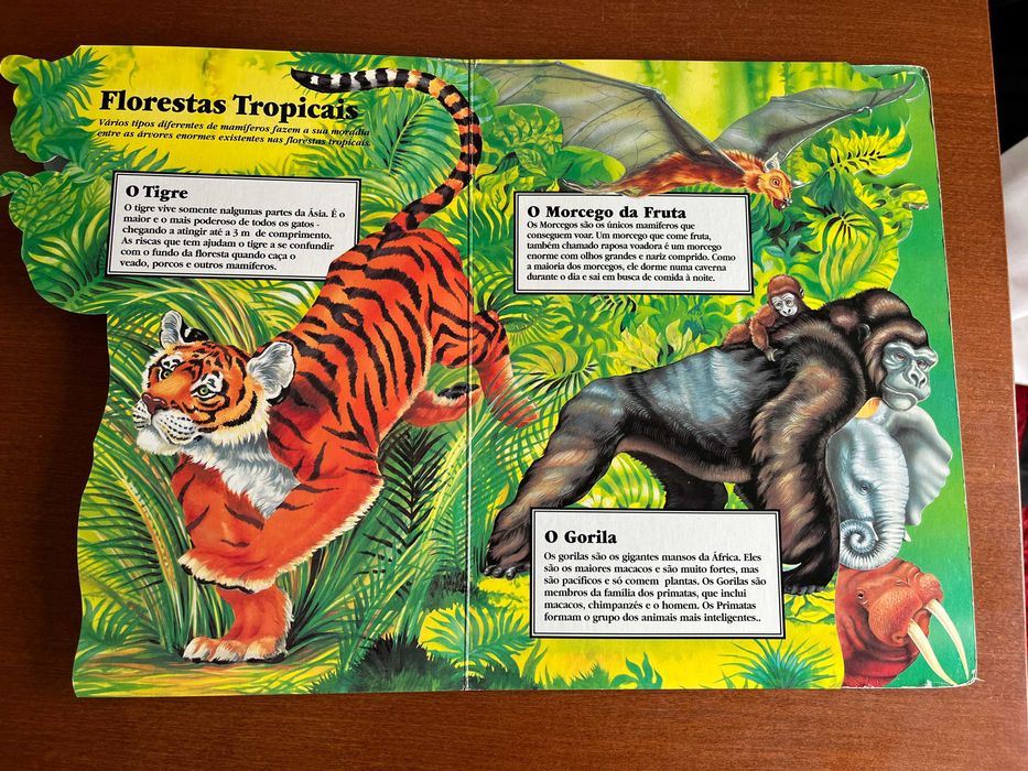 Mamíferos na Ponta dos Dedos