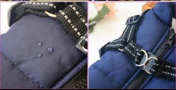 Одяг для собачок/котиків