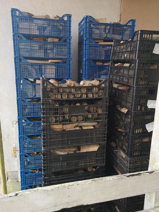 Drewno do palenia 40koszyków