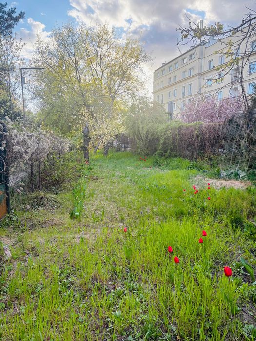 Działka ROD Warszawa Mokotów