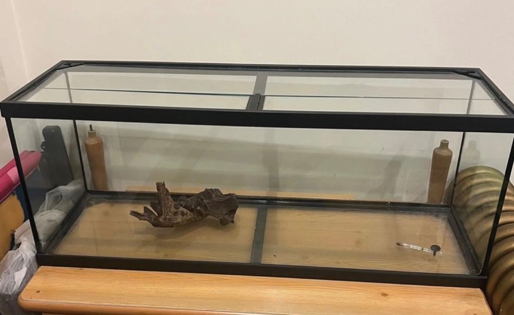 Aquário - Aquacultura