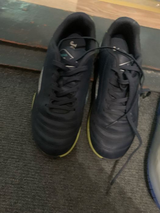 Сороконожки жома