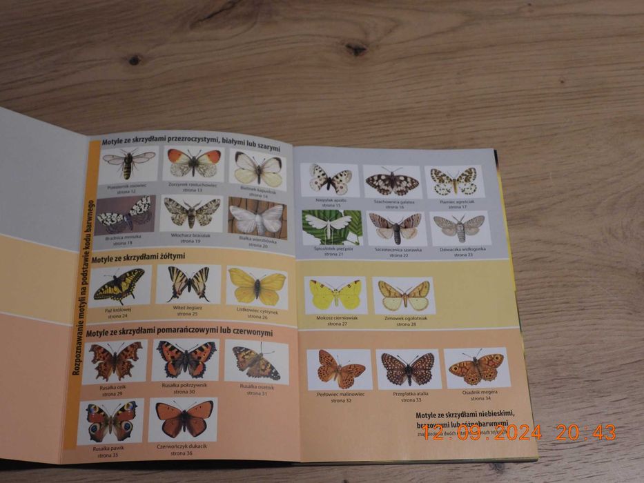 Mój pierwszy przewodnik Jaki to motyl? H.M. Garbarczyk JAK NOWA