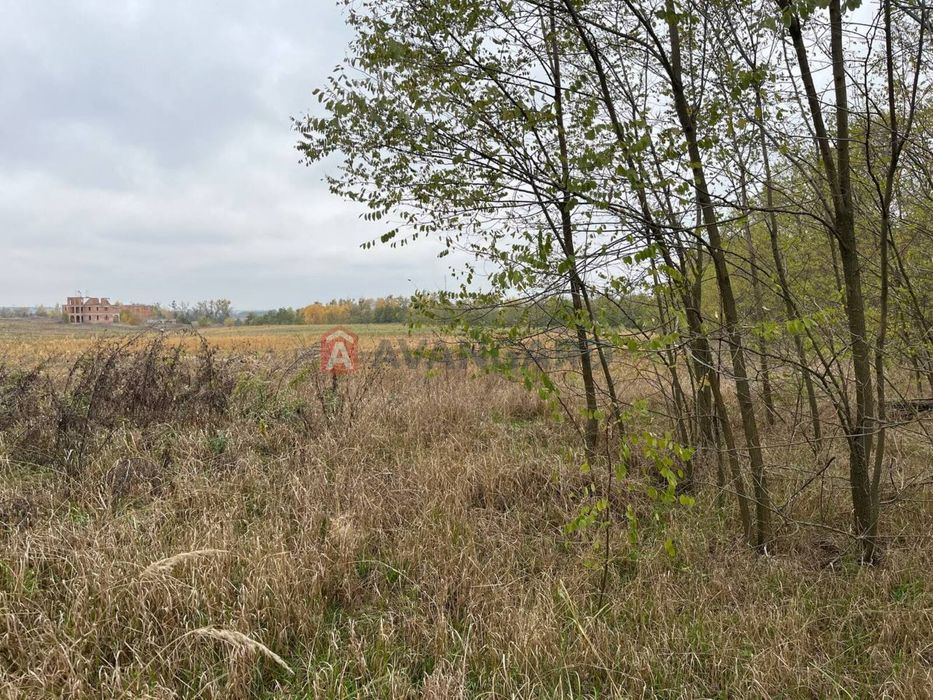 продаж земельної ділянки Житомирська траса