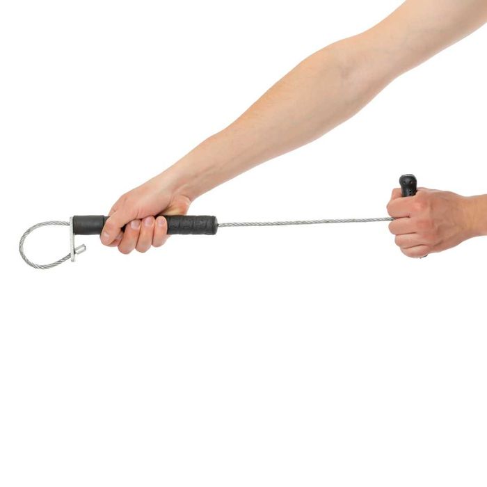 Pętla do prowadzenia knura