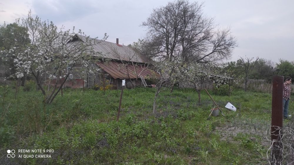 Продам будинок по близу Чернігова з доглянутим садом і городом.